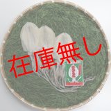 画像: 五島するめ〜水いかするめ〜　小の型　3枚　(総量210g)