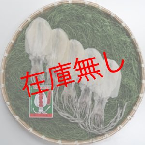画像: 五島するめ〜水いかするめ〜　小の型　5枚　(総量350ｇ)