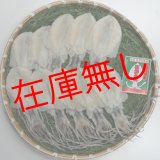 画像: 五島するめ〜水いかするめ〜　小の型　10枚　(総量700g)