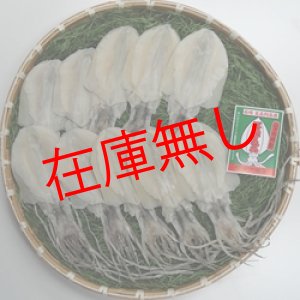 画像: 五島するめ〜水いかするめ〜　小の型　10枚　(総量700g)