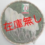 画像: 五島するめ〜水いかするめ〜　中の型　5枚　(総量550g)