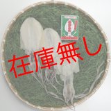 画像: 五島するめ〜水いかするめ〜　中の型　3枚　(総量330g)