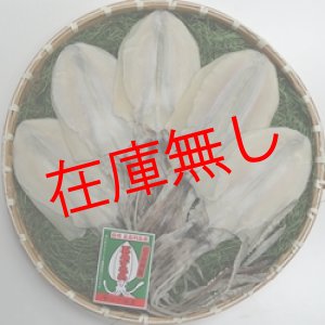 画像: 五島するめ〜水いかするめ〜　特大の型　5枚　(総量1100g)
